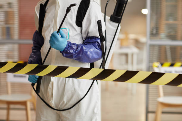 Professional Sewage Cleanup technician working in Five Points, CA